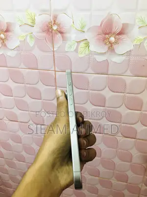 Apple iPhone 15 Pro Max 256 GB Silver
