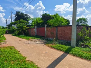 ৫ কাঠা দক্ষিণ মুখী প্লট বিক্রি করা হবে