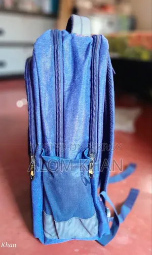 স্কুল/কলেজ ব্যাগ