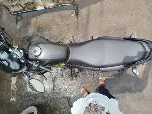 Honda Livo 2023 Gray