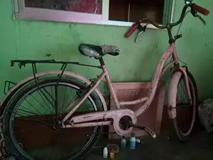 Ladies Bicycle for Sell (Valo Photo Deya Jabe WhatsApp E)