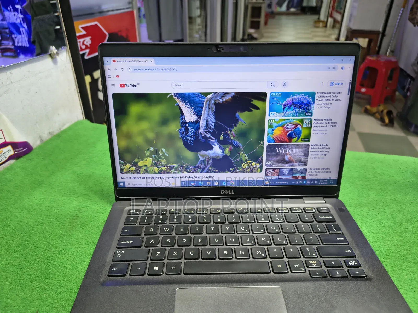 Laptop Dell Latitude 5300 8GB Intel Core i7 SSD 256GB