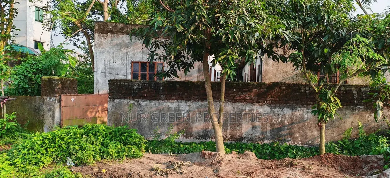 ৩ কাঠা প্লট বিক্রি করা হবে  ৭৫ ফিট রোডের সাথে টিনসিট বাড়ি করা