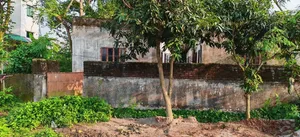 ৩ কাঠা প্লট বিক্রি করা হবে  ৭৫ ফিট রোডের সাথে টিনসিট বাড়ি করা