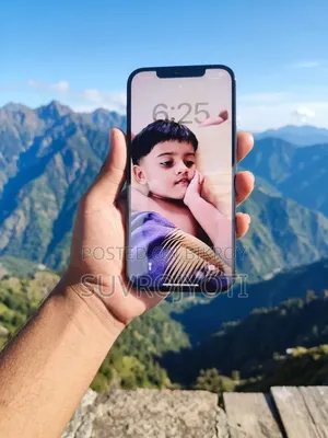 Apple iPhone 12 Pro Max 128 GB Blue