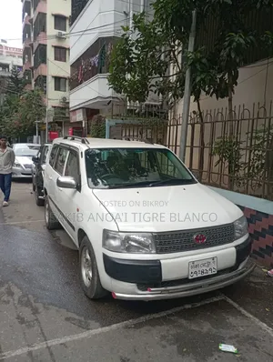 Toyota Probox 2009 White