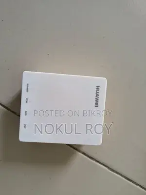 Netis Router and Huawei Anu