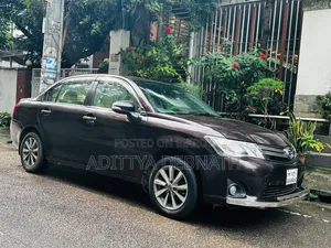 Toyota Axio 2012 Maroon
