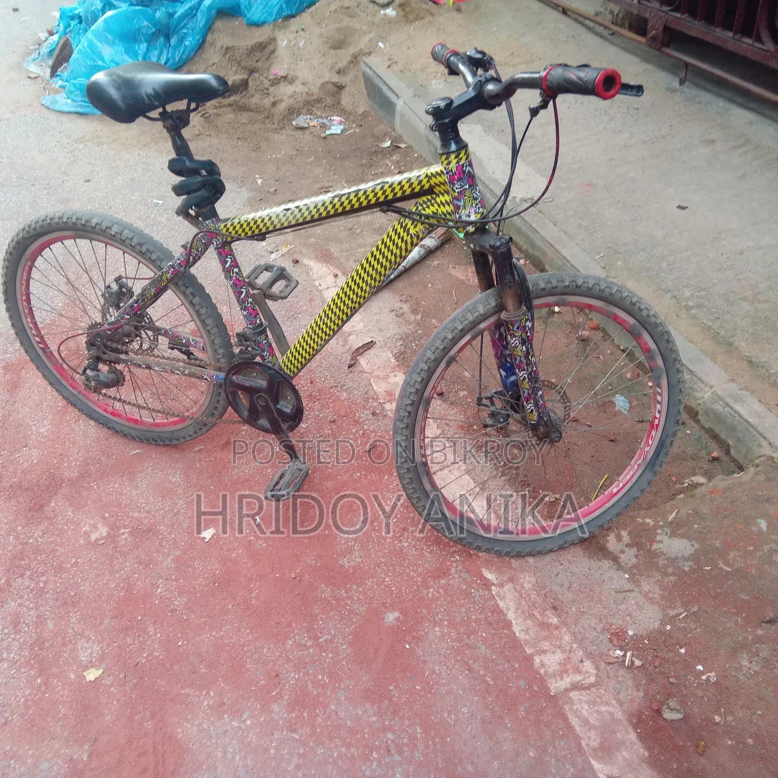 Gear Cycle 24 Inch