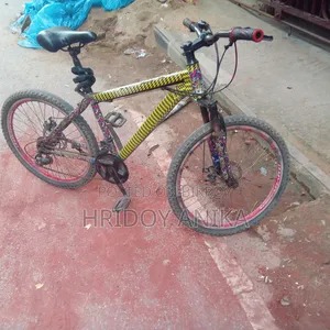 Gear Cycle 24 Inch