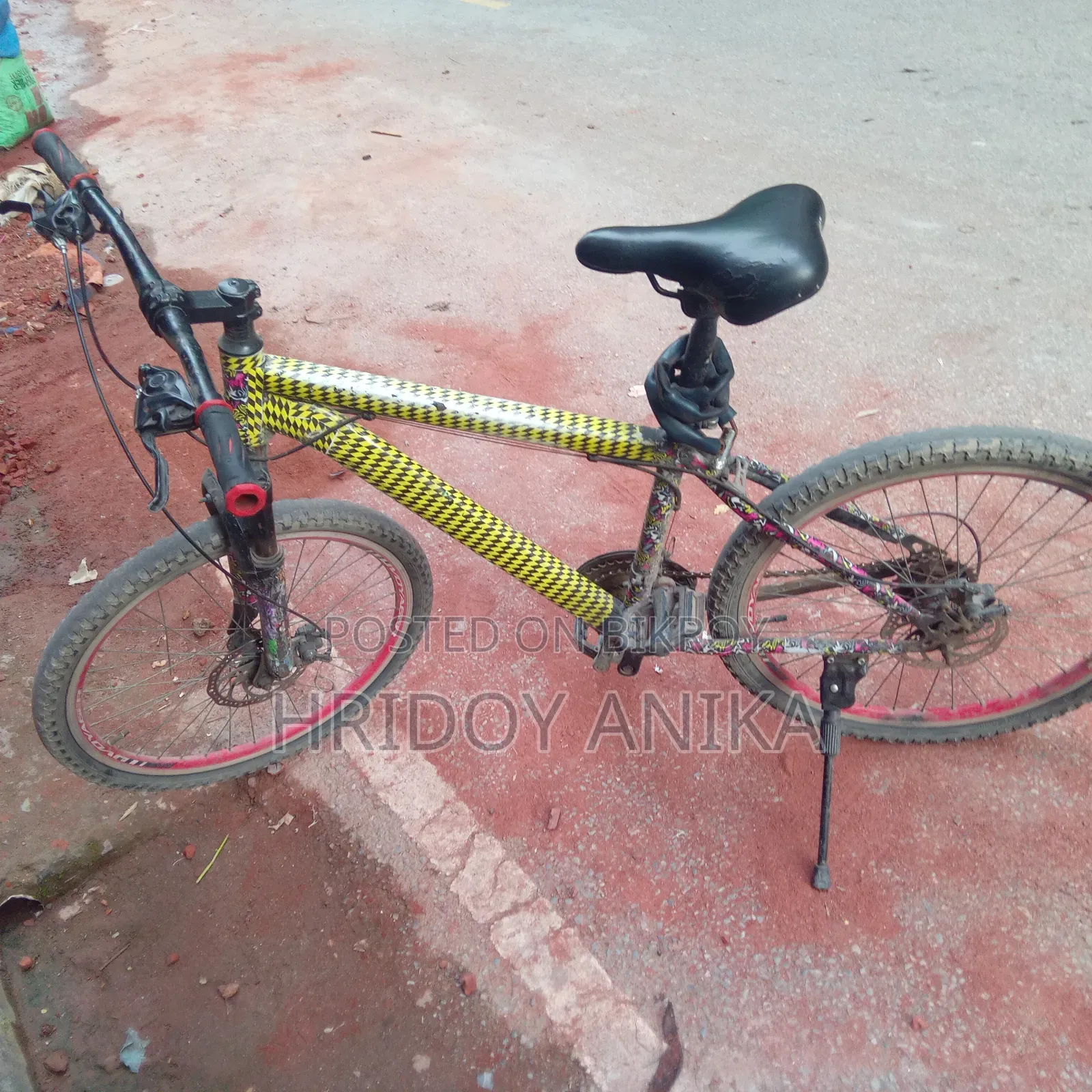 Gear Cycle 24 Inch