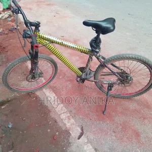 Gear Cycle 24 Inch