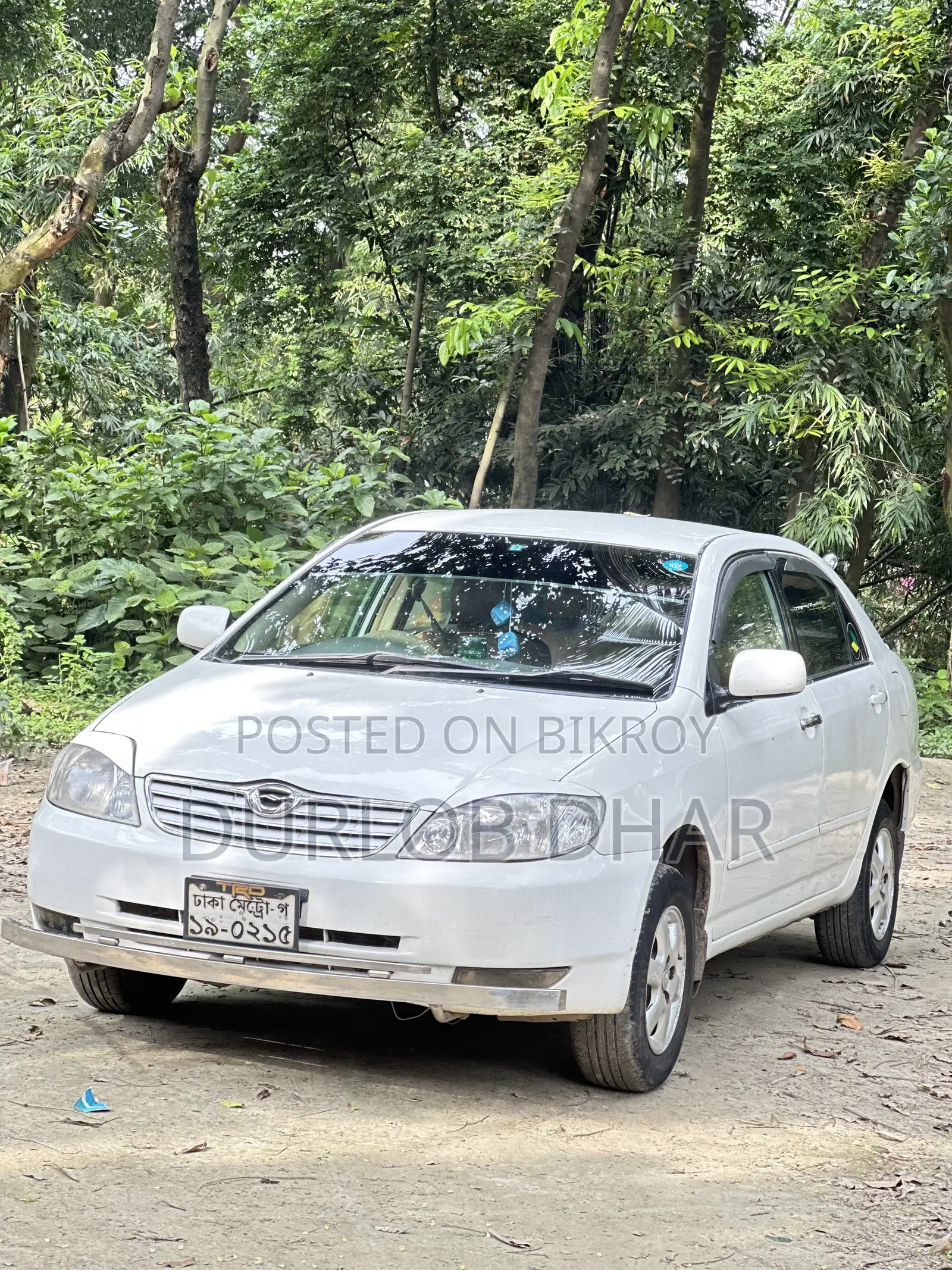 Toyota Corolla Sedan 2001 White