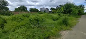 Basundhara P Block 5 Katha South Facing Corner Land for Sale