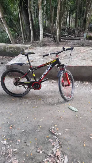 Levent Cycle = 24 Size