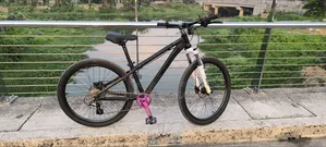 Borrse Stand Cycle 601 Aluminium Frame