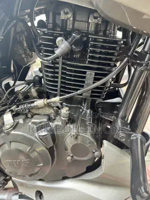 TVS Apache RTR 160 2V 2019 Gray