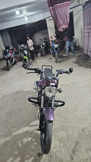 Jamuna EVO 150 2017 Gray