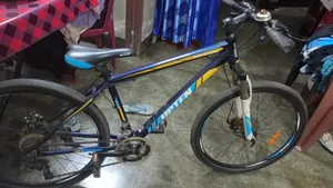 Abu Dhabi Imported Bicycle