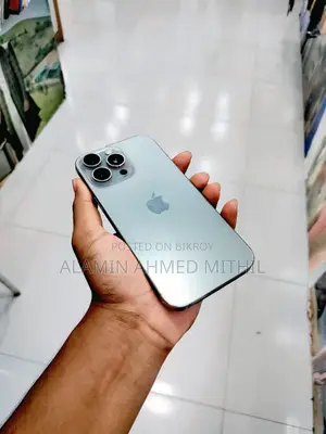 Apple iPhone 16 Pro Max 256 GB Silver