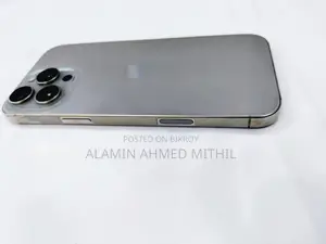 Apple iPhone 16 Pro Max 256 GB Silver