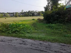 জরুরি বিক্রি ৮.৫ শতক জমি