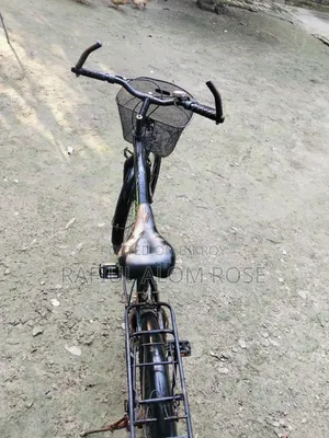Phonix by Cycle
