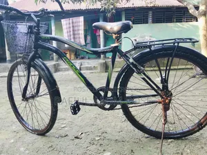 Phonix by Cycle