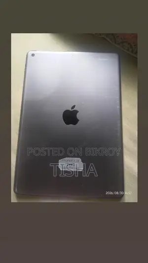 Apple iPad Air 64 GB Silver