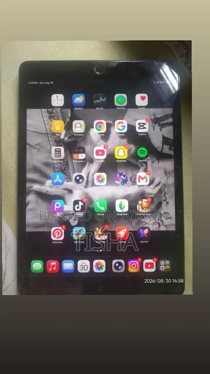 Apple iPad Air 64 GB Silver