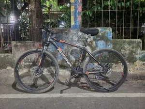 Phoenix Cycle