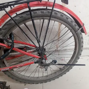 Prince Cycle