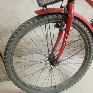 Prince Cycle