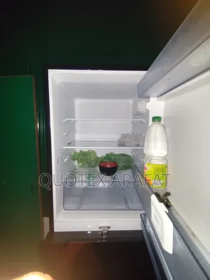 Liter 260 মাত্র 6 মাস বয়স  ৫০ হাজার টাকায় কিনেছি কেউ নিতে ছেলে নকদিন