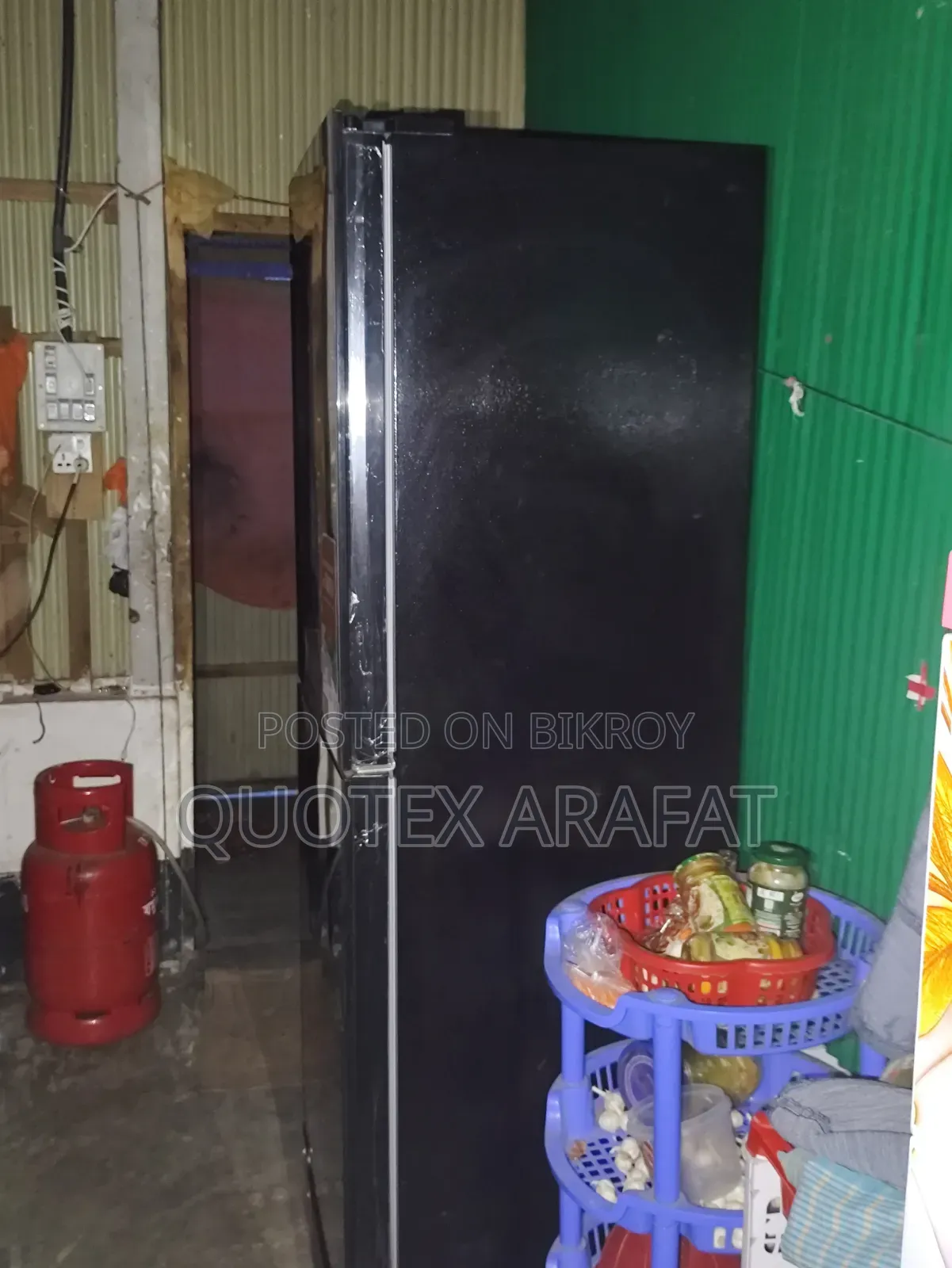 Liter 260 মাত্র 6 মাস বয়স  ৫০ হাজার টাকায় কিনেছি কেউ নিতে ছেলে নকদিন