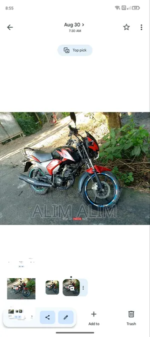 Atul Gem Paxx 2019 Red