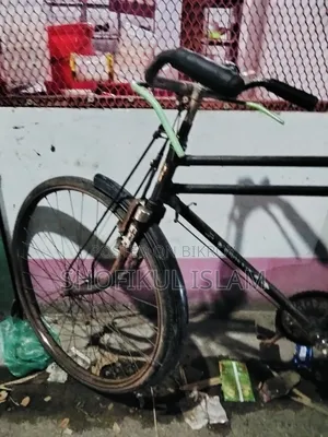 Phonix Cycle