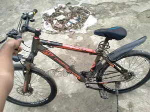 সাইকেল(ফনিক্স)