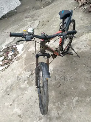 সাইকেল(ফনিক্স)