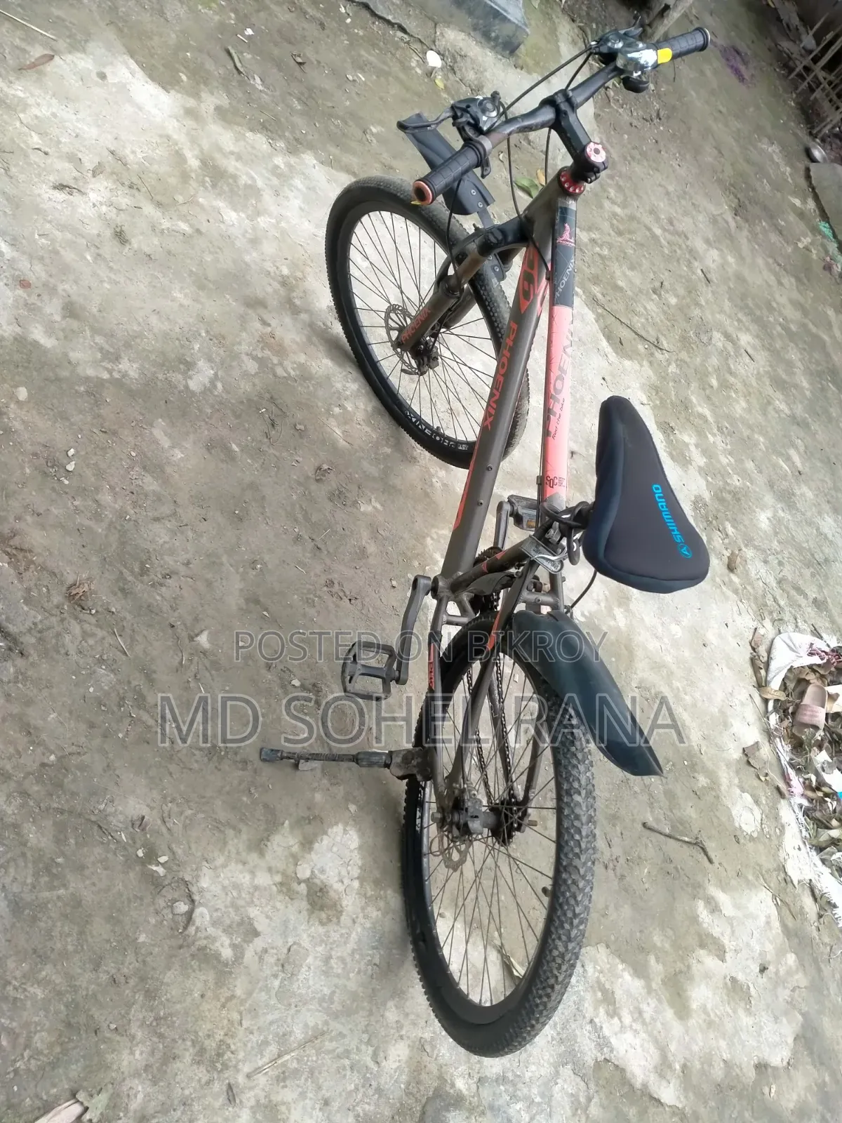 সাইকেল(ফনিক্স)