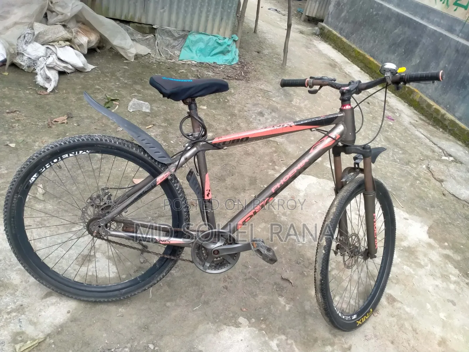 সাইকেল(ফনিক্স)