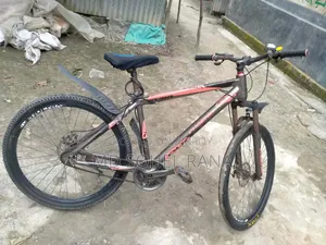 সাইকেল(ফনিক্স)