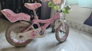 EU Standard Premium Quality 14" Girls Bicycle