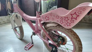 EU Standard Premium Quality 14" Girls Bicycle