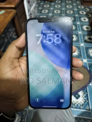 Apple iPhone 12 Pro Max 256 GB