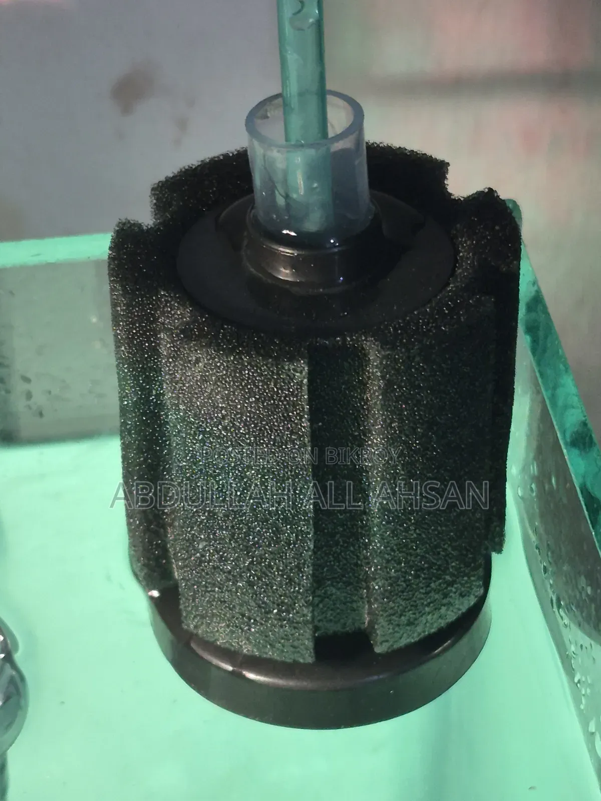 অ্যাকুরিয়াম, মাছ