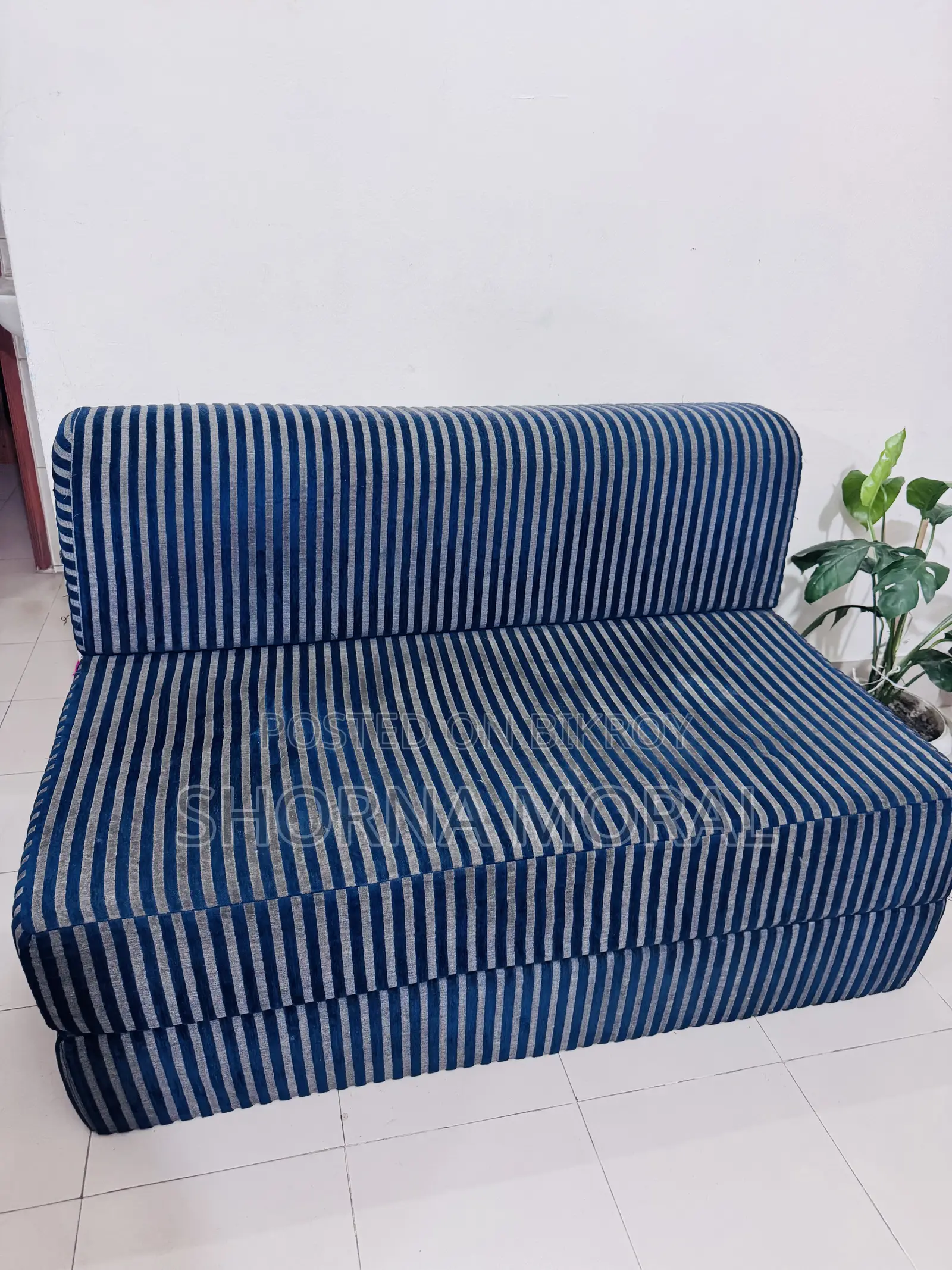 Sofa Cum Bed