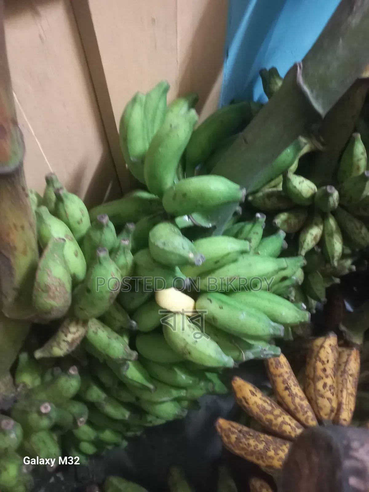 দেশীয় কলা