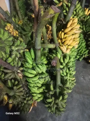 দেশীয় কলা