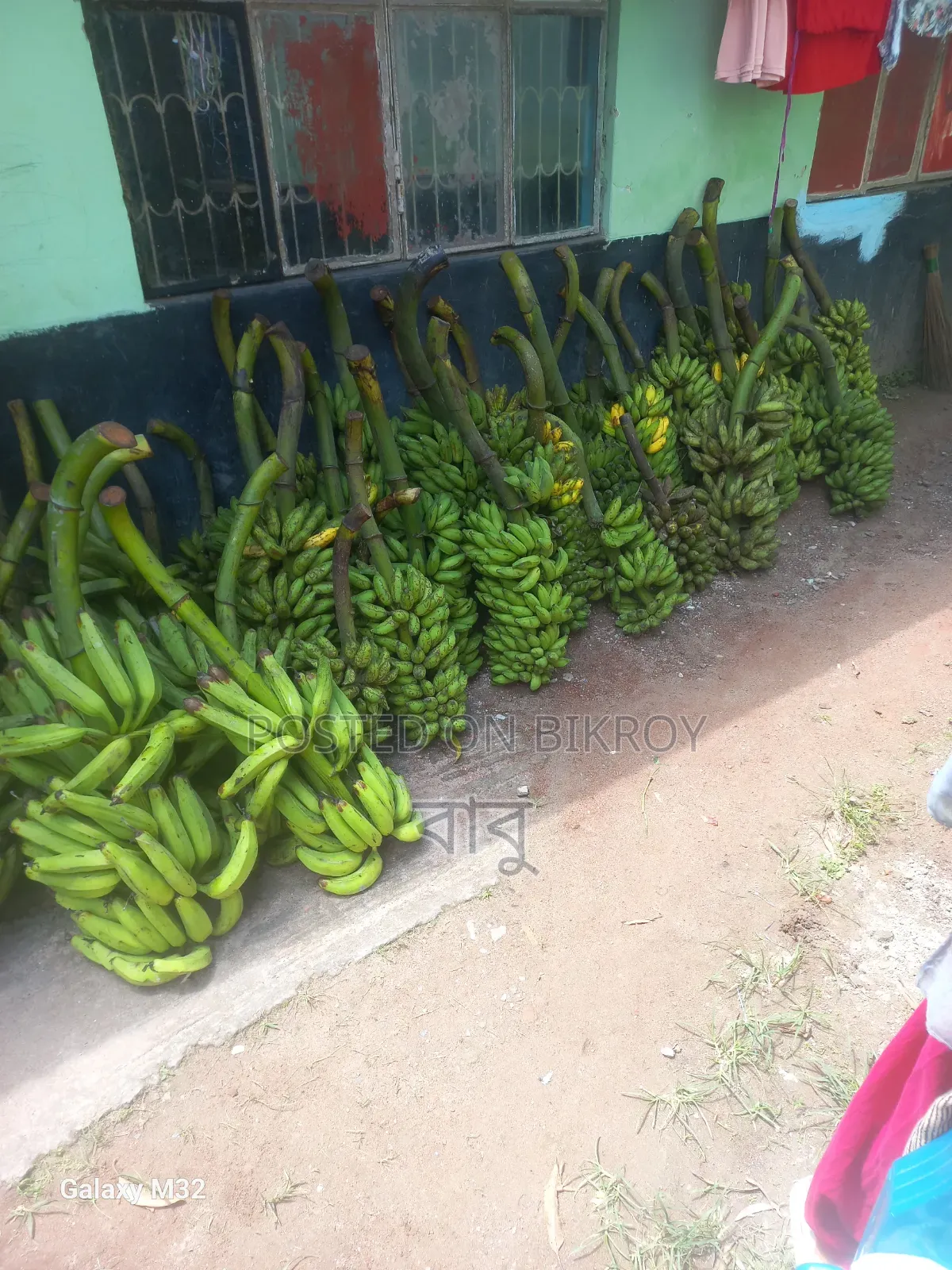 দেশীয় কলা